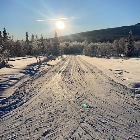 Relaxing Retreat With Two Terraces Апартаменты Beitostolen