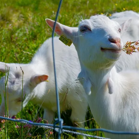 Апартаменты Relaxing Retreat With Two Terraces